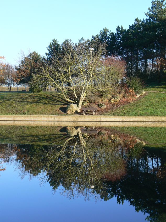 Promenade autour du Lac: Le parc du Lac Evry Courcouronnes 012